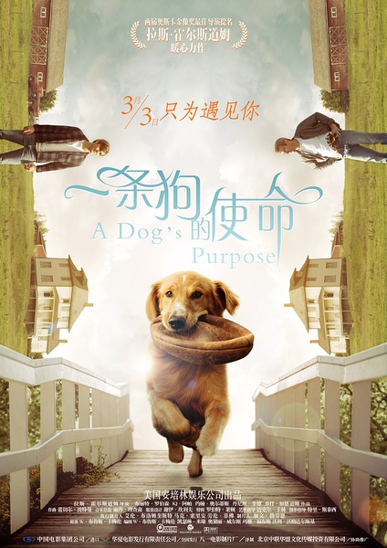 2017最新电影《一条狗的使命》喜剧剧情TS国语中字